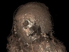 Мумия в уникальном грязевом коконе стала свидетельством древней аферы