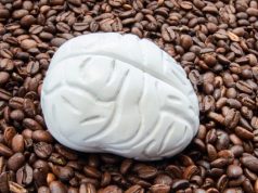 Швейцарские ученые: потребление кофеина снижает объем серого вещества в мозге