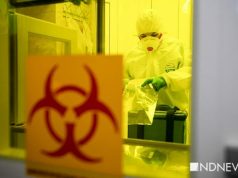 ВОЗ подтвердила возможность повторного заражения коронавирусом