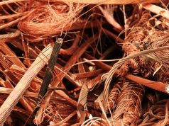 В Бразилии нашли бактерию, способную превращать токсичные ионы меди в полезный металл