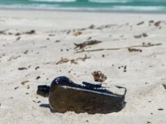 Самое старое послание в бутылке провело в океане 132 года