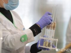 Турция готова начать производство российской вакцины от коронавируса