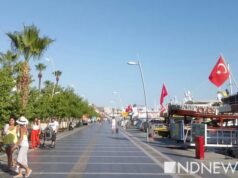 В Турции призвали ужесточить антиковидные меры для туристов из России