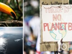 Есть точка невозврата: климатолог рассказала, как изменение климата »ударит» по Украине