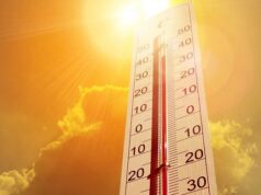 Июль 2021 года стал самым жарким месяцем за все время наблюдений за погодой
