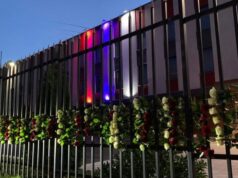 Миллион алых и белых роз: Балканисты прощаются с послом Сербии в Москве