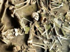 Мужчины и женщины погибшего древнеримского Геркуланума имели совершенно разную диету