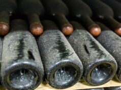 В Шампани погода в этом году уничтожила более трети урожая винограда