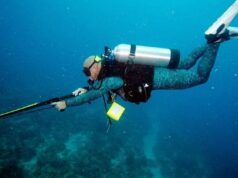 Подводная охота: что для этого нужно?