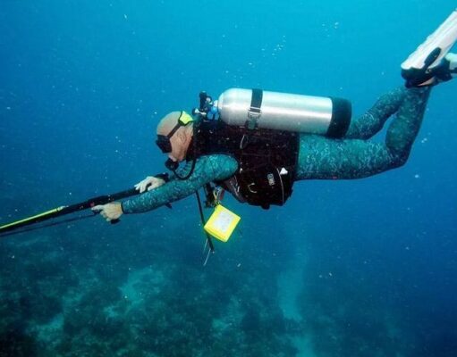 Подводная охота: что для этого нужно?