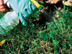 Гербициды: как правильно выбирать