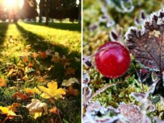 Погоду в Украине будет определять антициклон: синоптик дала детальный прогноз на понедельник