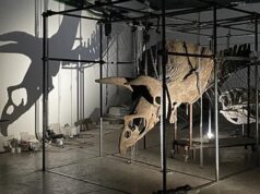 Самый большой в мире скелет трицератопса уйдет с молотка в Париже