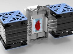 Ученые заставили рукотворное сердце биться после глубокой заморозки