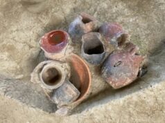 В древнем Китае варили пиво из риса еще 9000 лет назад