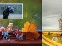 В Украине будет много солнца и мало дождя: синоптик дала прогноз на неделю