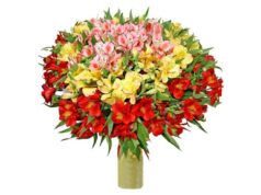 Доставка цветов: почему стоит выбрать сервис доставки