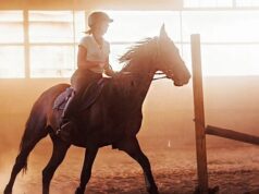 Неумолимая статистика свидетельствует, что верховая езда опаснее горных лыж и мотоцикла