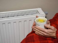 Общественная экспертиза. А что с теплом?