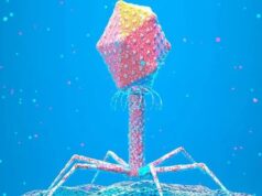 В природе существуют вирусы, которым мы должны быть благодарны за нашу эволюцию