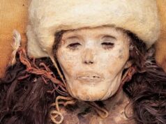 Загадочные таримские мумии оказались наследием уникального изолированного народа