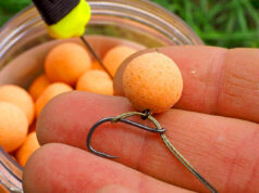 Бойлы для рыбной ловли