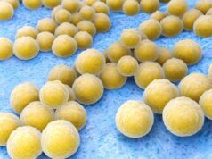 Ученые нашли в организме человека десятки новых видов естественных антибиотиков