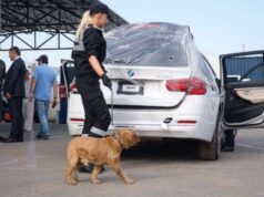 В Госпогранслужбе рассказали о необычных находках в авто из США