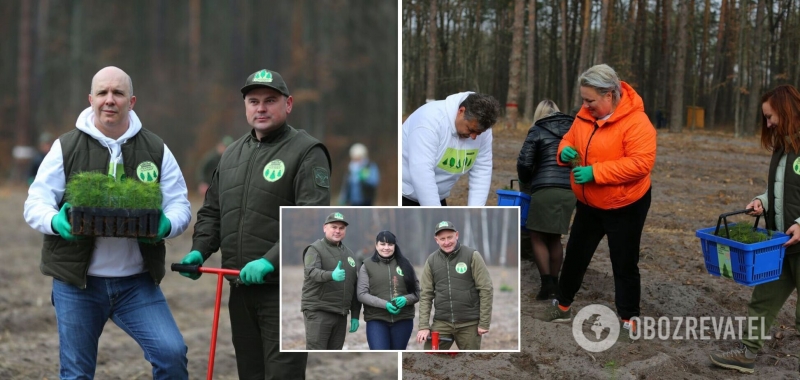 В Украине в рамках президентской программы установлен рекорд по восстановлению леса