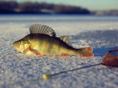 Куда отправиться на зимнюю рыбалку в Харькове