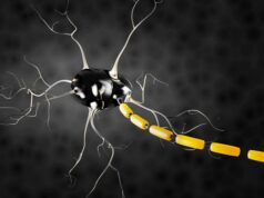 Сибирская язва станет обезболивающим средством