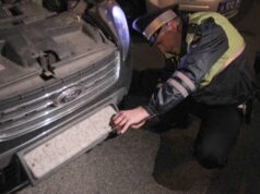 Суд указал, за какие номера водитель может лишиться прав