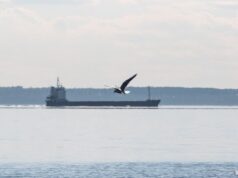 Танкеры с СПГ начали менять курсы с Азии на Европу