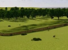 Ученые составили самое древнее генеалогическое древо в мире