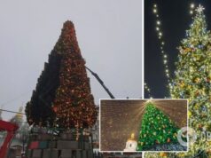 В Киеве в тестовом режиме зажгли новогоднюю елку. Фото и видео