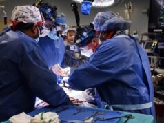 Американские хирурги провели первую в мире пересадку свиного сердца человеку