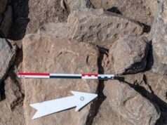 Археологи нашли настольную игру, в которую играли 4000 лет назад