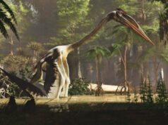 Самое крупное летающее существо в истории Земли летать совершенно не любило