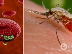 В Харькове студент попал в больницу с малярией: в каком он состоянии и чем опасна болезнь