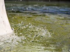 В Узбекистане вводятся новые нормы потребления воды