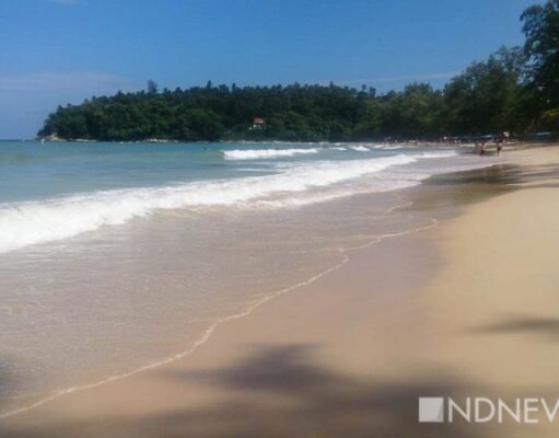 ВОЗ рекомендует снять ограничения с международных поездок