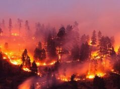 13 000 лет назад огненная буря уничтожила 10% поверхности Земли