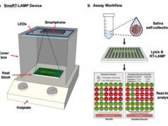 Простой детектор на базе смартфона определит ковид с точностью ПЦР-теста