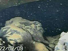 Ученые получили жутковатые снимки изнутри реактора АЭС Фукусимы