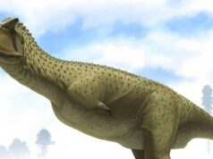 В Аргентине нашли останки странного «безрукого» динозавра, который был успешным хищником