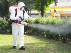 Как избавиться от комаров в доме