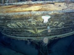 Четыре удивительных морских существа поселились в затонувшем судне «Endurance» Эрнеста Шеклтона