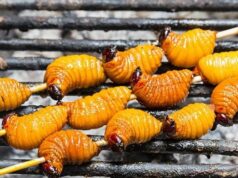 Диета из насекомых способна решить огромное количество экологических проблем