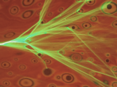 Река света: в тонких пленках свет ведет себя подобно жидкости