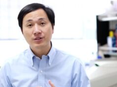 Создатель первых в мире генномодифицированных детей Хэ Цзянькуй вышел из тюрьмы